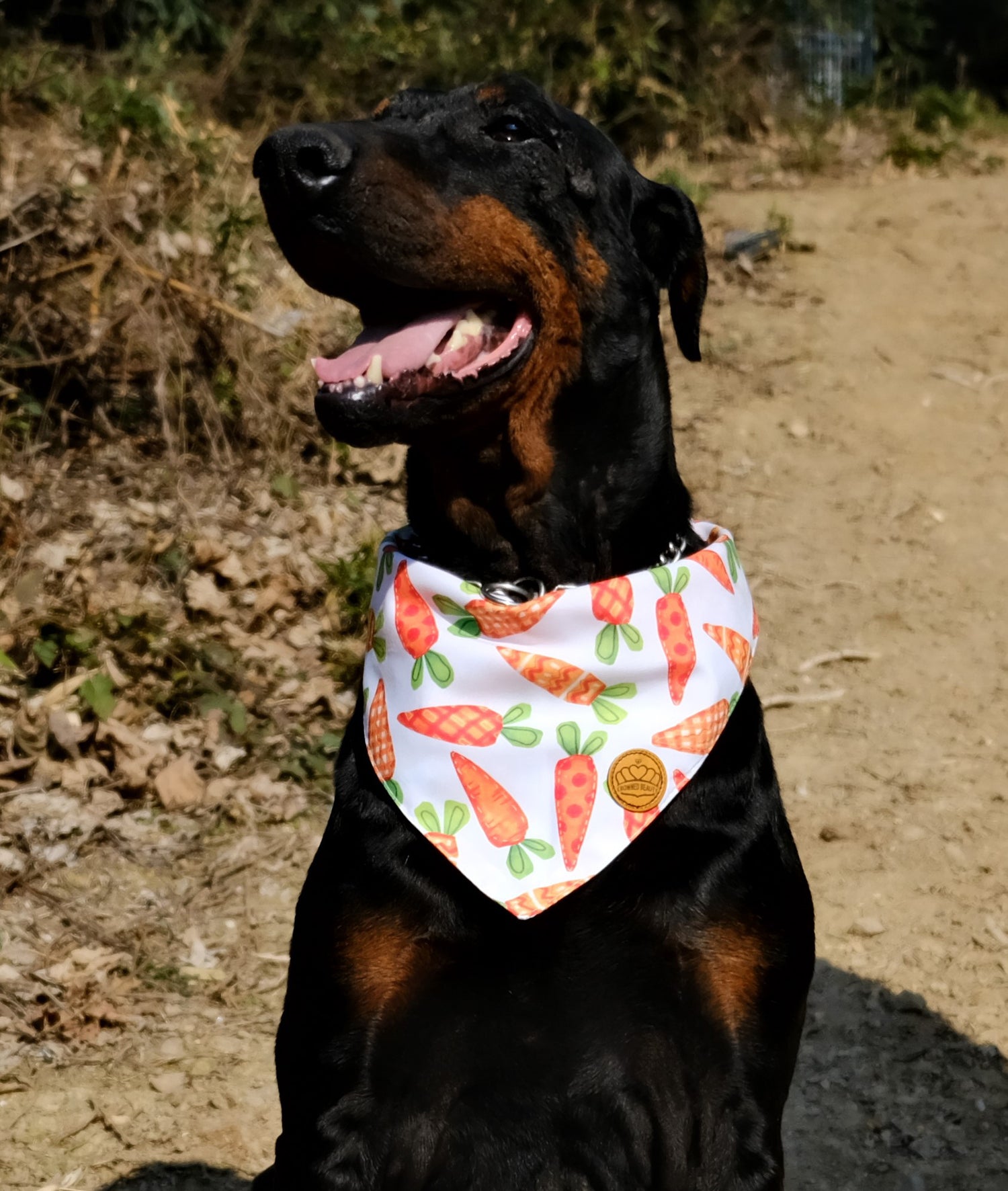 Easter dog bandana