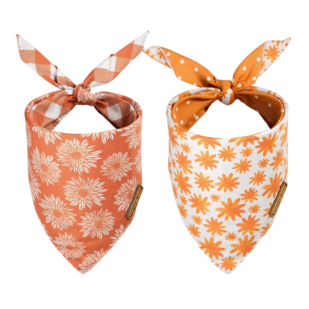 CROWNED BEAUTY Reversible Fall Dog Bandanas - Daisy Polka Dots 2-Pack for Medium to XL Dogs DB64