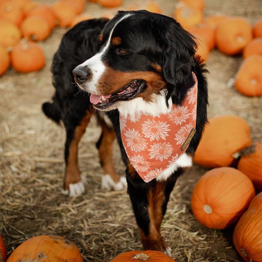 CROWNED BEAUTY Reversible Fall Dog Bandanas - Daisy Polka Dots 2-Pack for Medium to XL Dogs DB64