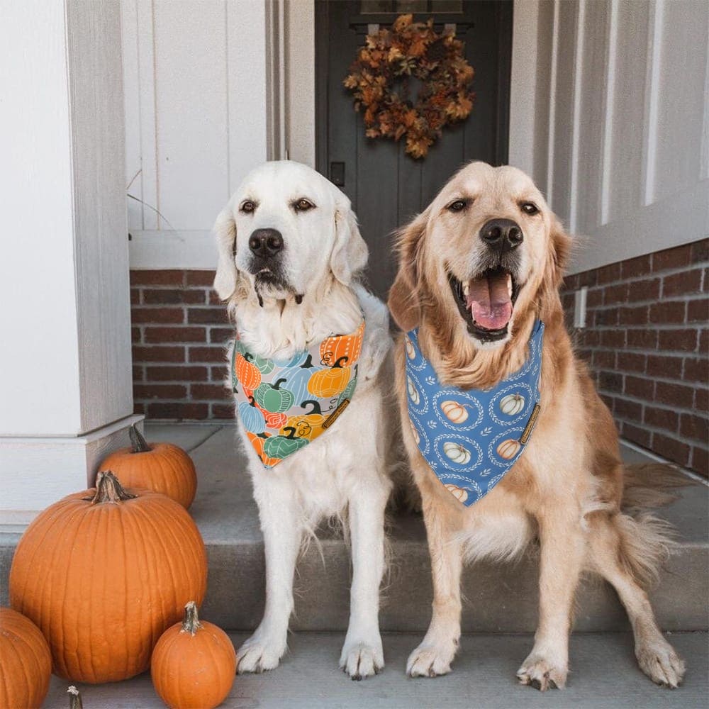 CROWNED BEAUTY Reversible Fall Dog Bandanas - Pumpkins 2-Pack for Medium to XL Dogs DB65