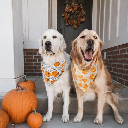CROWNED BEAUTY Reversible Fall Dog Bandanas - Pumpkins, Maple Leaves 2-Pack for Medium to XL Dogs DB66