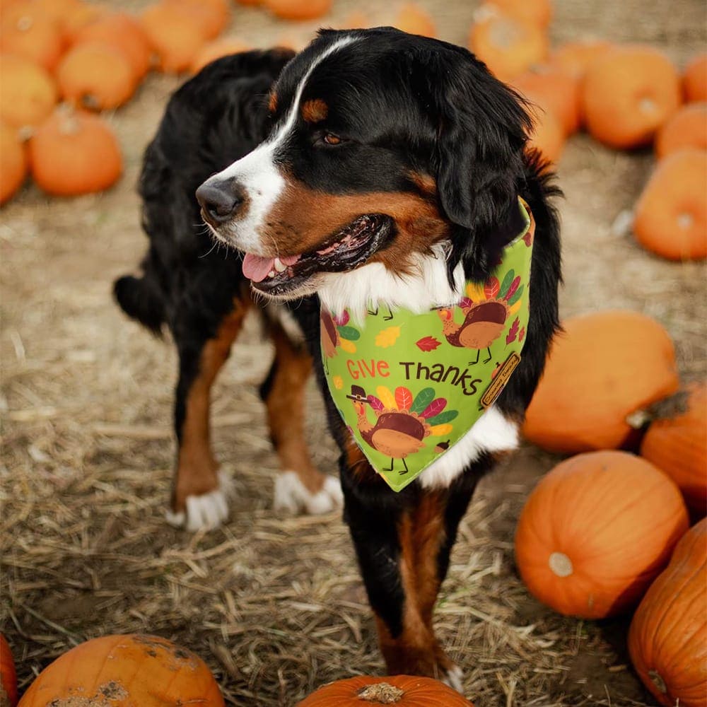 CROWNED BEAUTY Reversible Fall Dog Bandanas - Thanksgiving Turkey 2-Pack for Medium to XL Dogs DB67