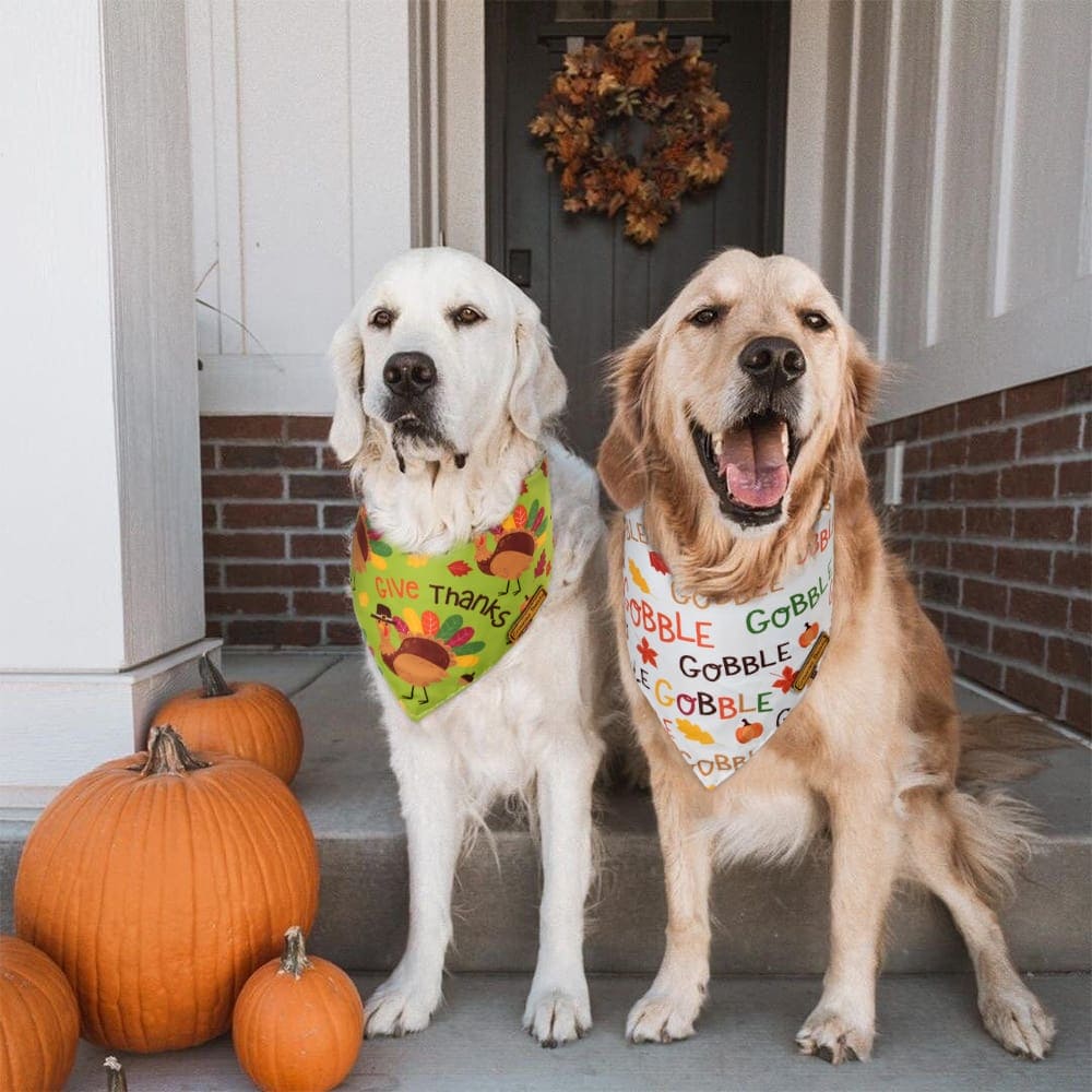 CROWNED BEAUTY Reversible Fall Dog Bandanas - Thanksgiving Turkey 2-Pack for Medium to XL Dogs DB67