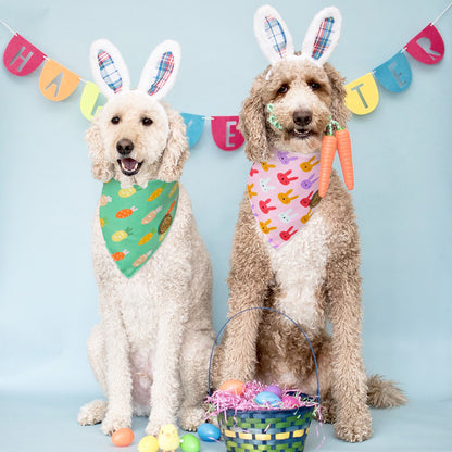 CROWNED BEAUTY Reversible Easter Dog Bandanas -Carrot Cuddles Set- 2 Pack for Small to XL Dogs DB101