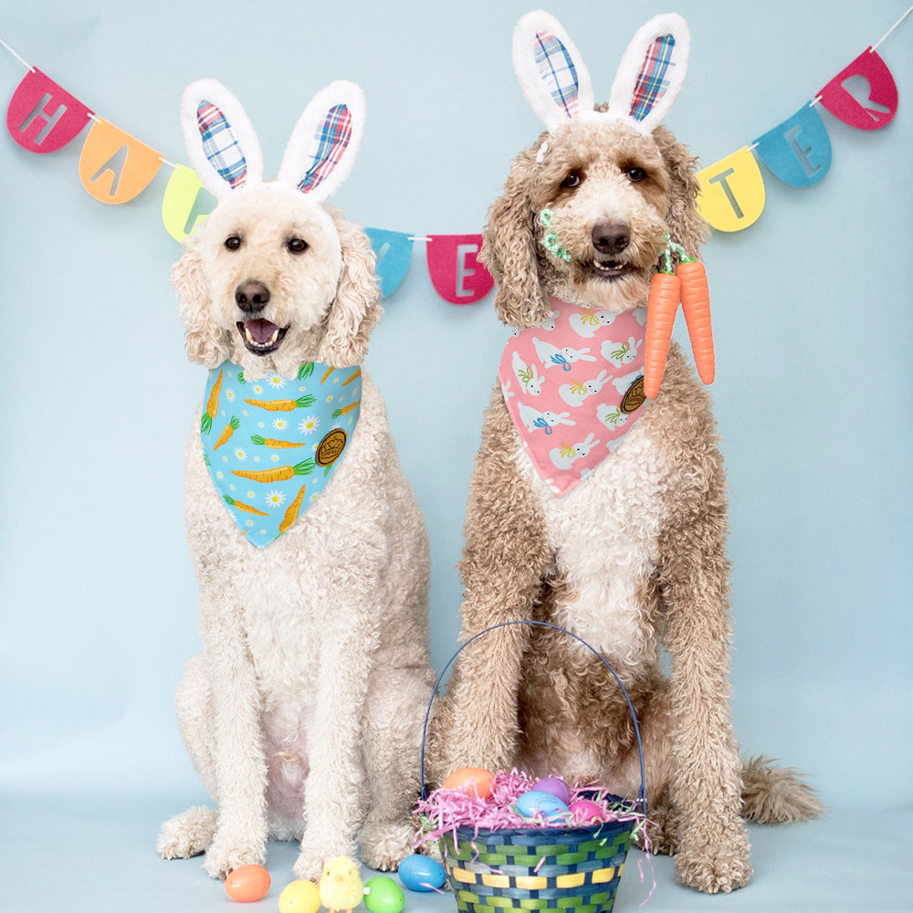 CROWNED BEAUTY Reversible Easter Dog Bandanas -Hoppy Set- 2 Pack for Small to XL Dogs DB102