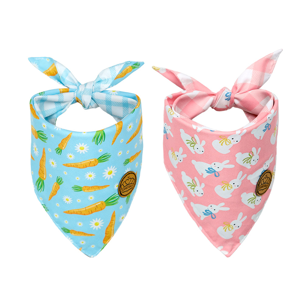 CROWNED BEAUTY Reversible Easter Dog Bandanas -Hoppy Set- 2 Pack for Small to XL Dogs DB102