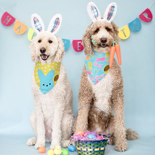 CROWNED BEAUTY Reversible Easter Dog Bandanas -Rainbow Rabbits Set- 2 Pack for Small to XL Dogs DB103