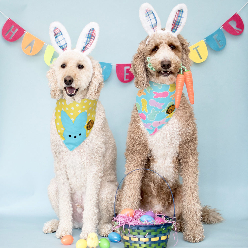 CROWNED BEAUTY Reversible Easter Dog Bandanas -Rainbow Rabbits Set- 2 Pack for Small to XL Dogs DB103