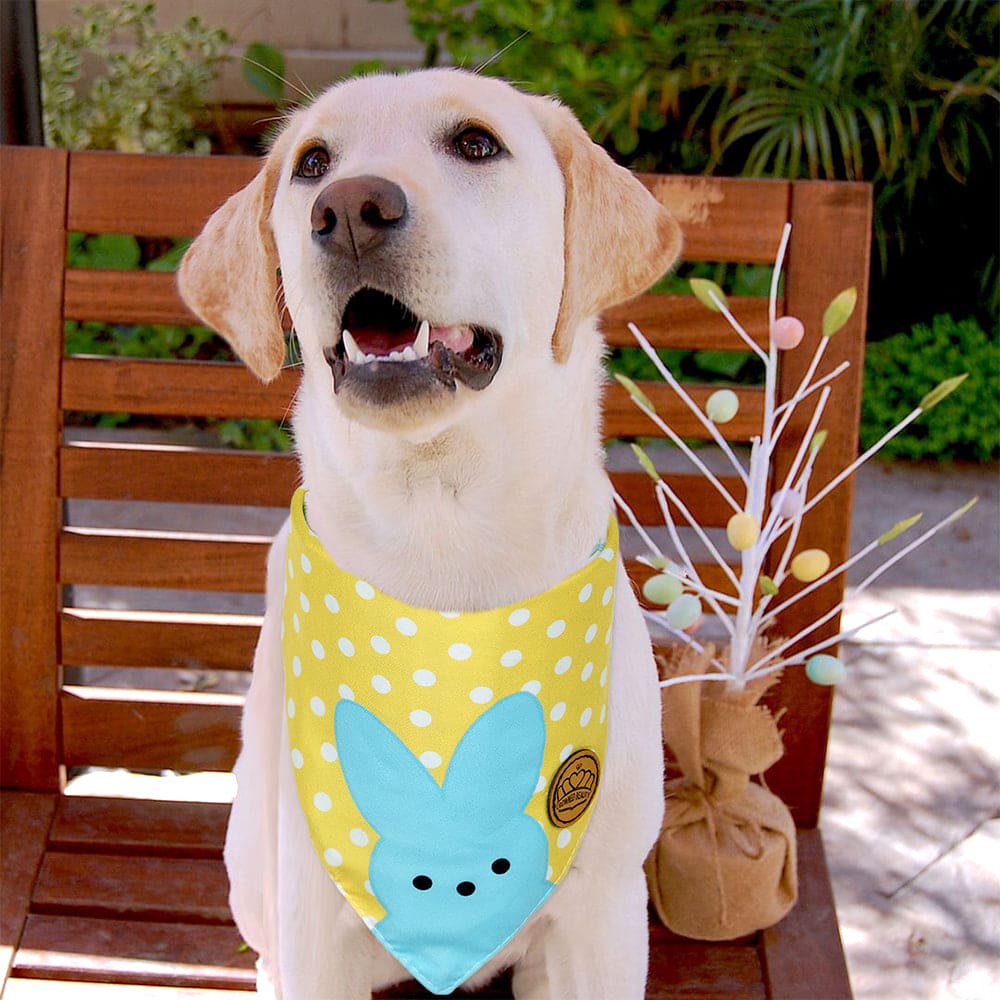 CROWNED BEAUTY Reversible Easter Dog Bandanas -Rainbow Rabbits Set- 2 Pack for Small to XL Dogs DB103