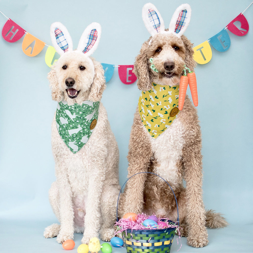 CROWNED BEAUTY Reversible Easter Dog Bandanas -Wildflower Hoppers Set- 2 Pack for Small to XL Dogs DB104