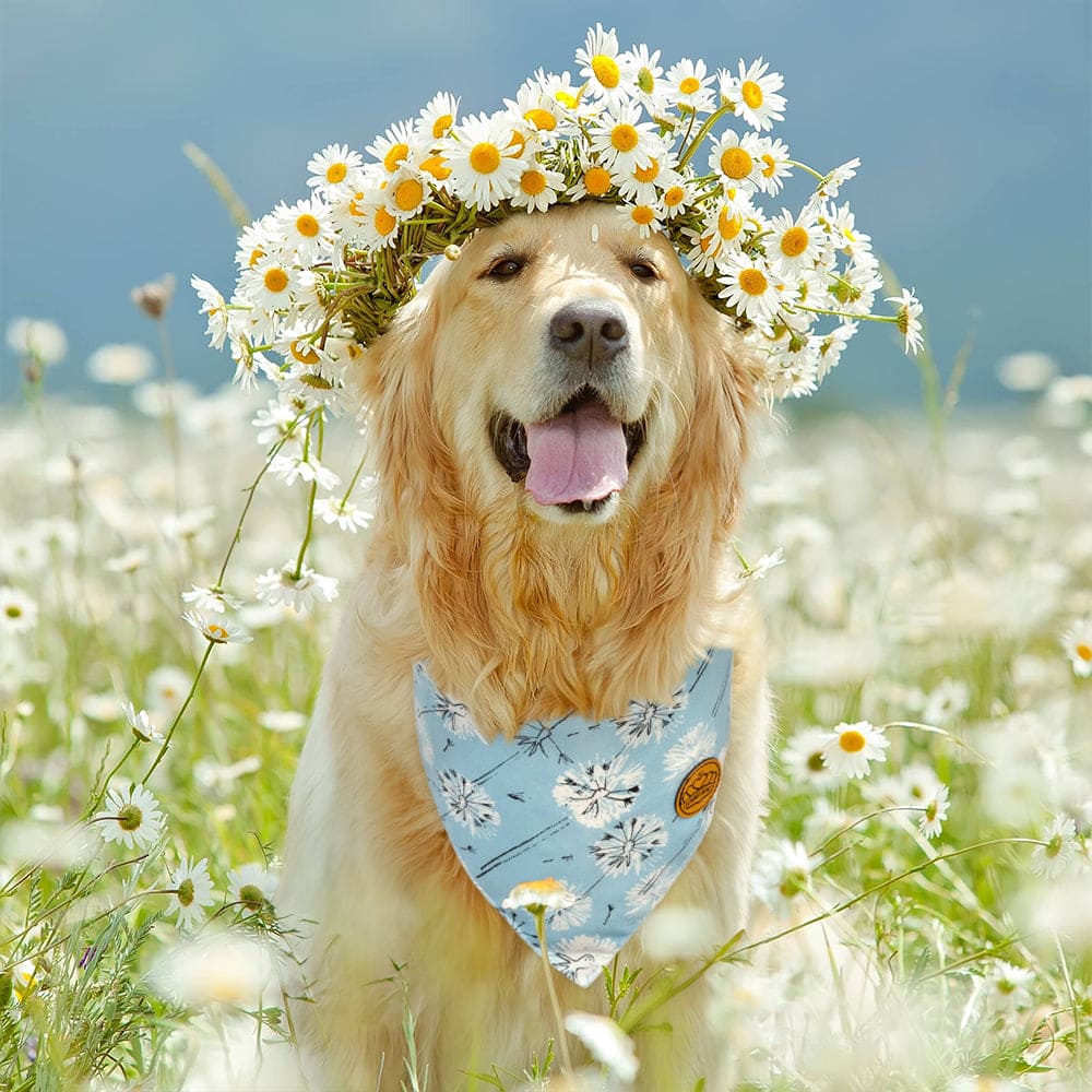 CROWNED BEAUTY Reversible Spring Dog Bandanas -Bloom Buddies Set- 2 Pack for Medium to XL Dogs DB105-L