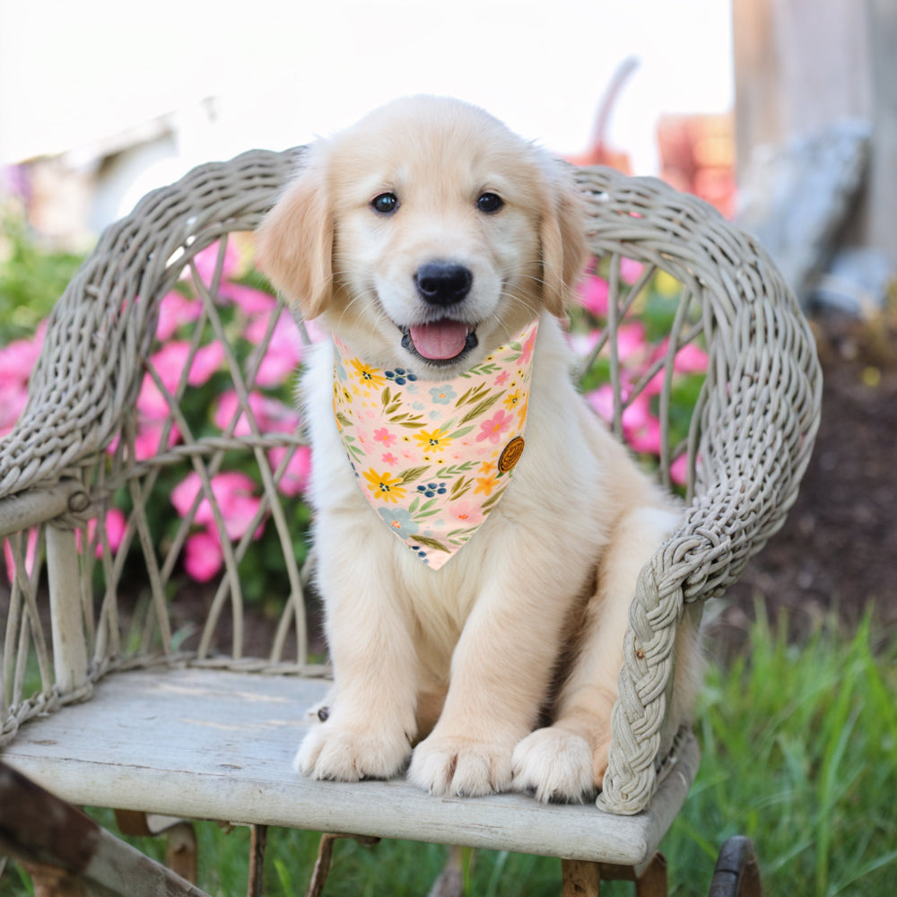 CROWNED BEAUTY Reversible Spring Dog Bandanas -Butterfly Blooms Set- 2 Pack for Medium to XL Dogs DB108