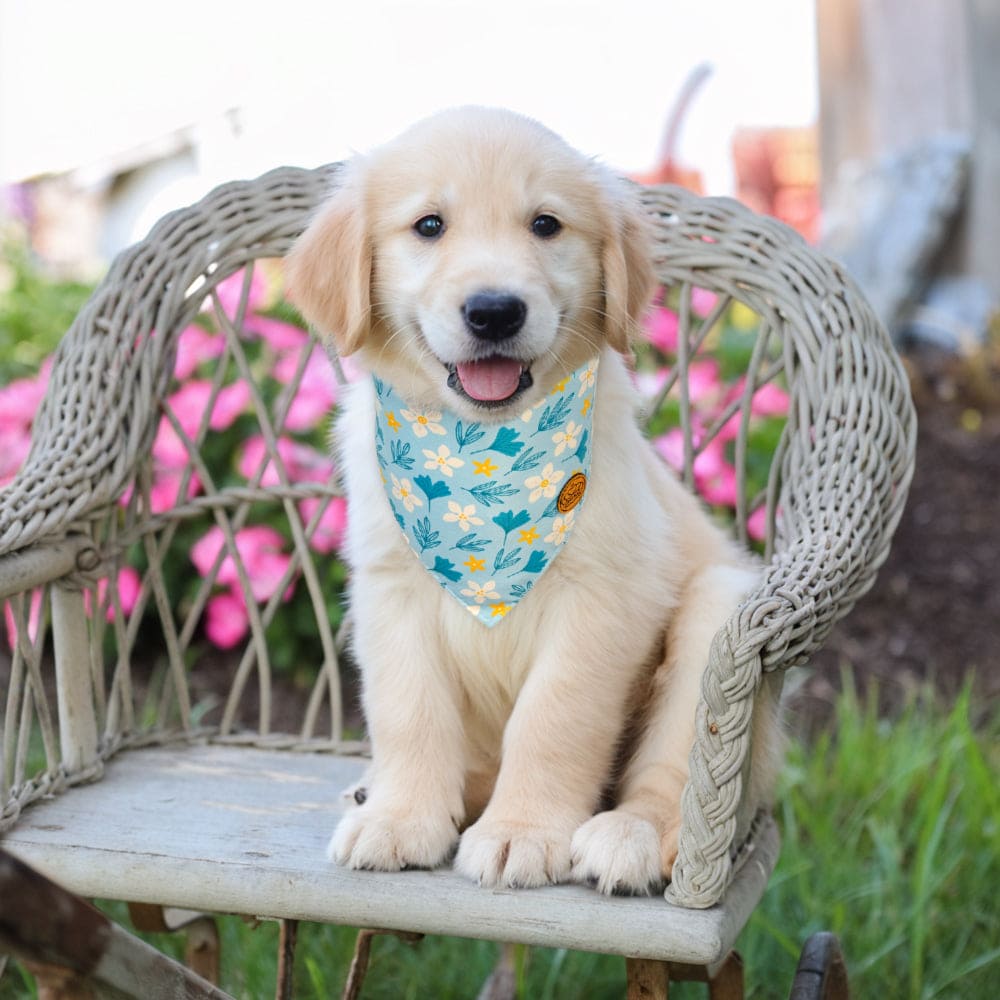 CROWNED BEAUTY Reversible Spring Dog Bandanas -Blossom Elegance Set- 2 Pack for Medium to XL Dogs DB109