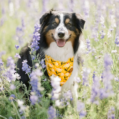 CROWNED BEAUTY Reversible Spring Dog Bandanas -Sunshine Blooms Set- 2 Pack for Medium to XL Dogs DB111