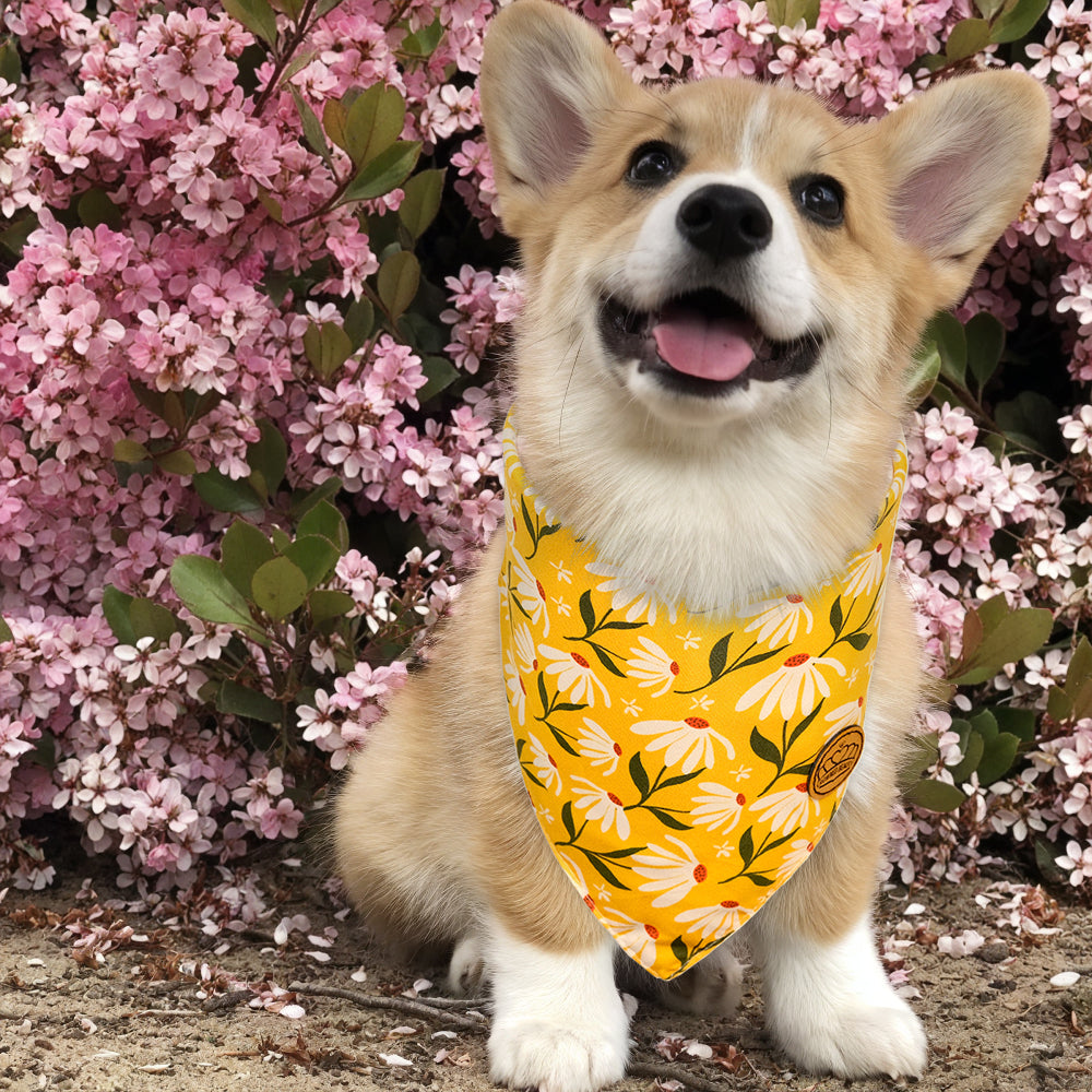 CROWNED BEAUTY Reversible Spring Dog Bandanas -Sunshine Blooms Set- 2 Pack for Medium to XL Dogs DB111