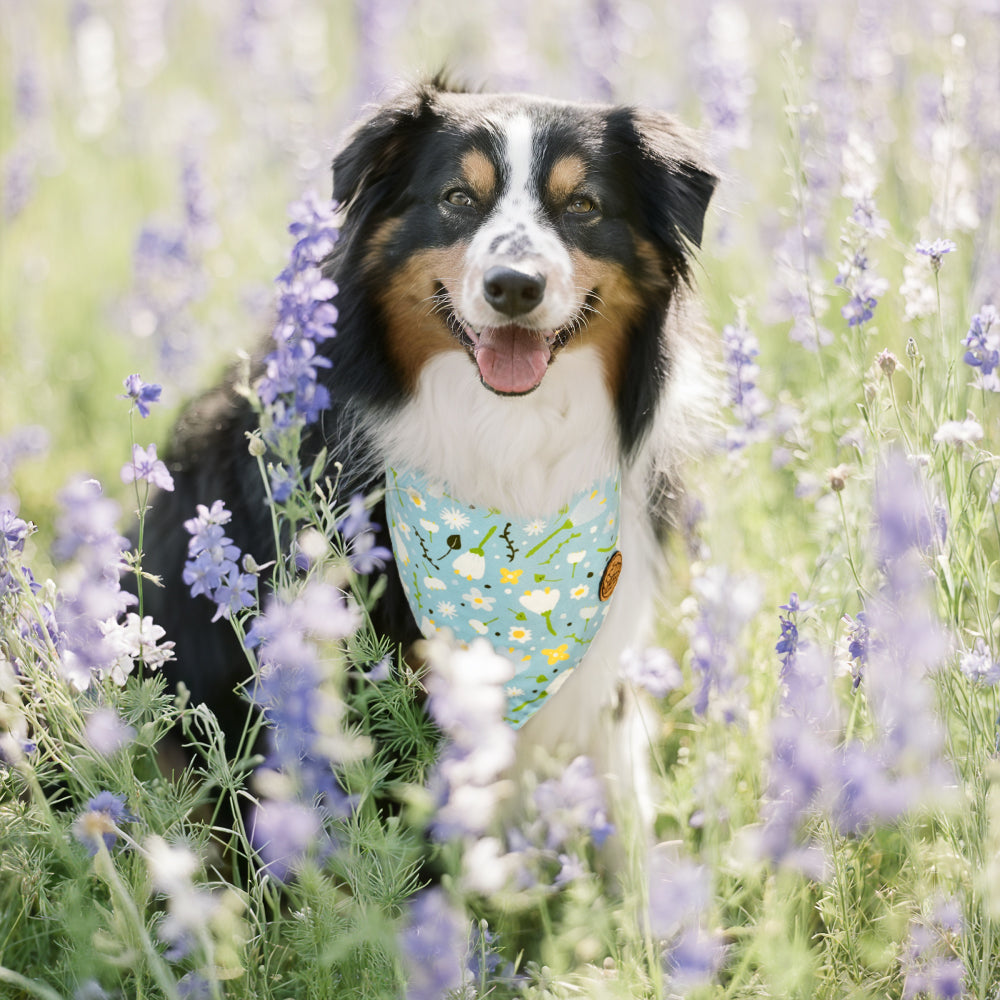 CROWNED BEAUTY Reversible Spring Dog Bandanas -Floral Charm Set- 2 Pack for Medium to XL Dogs DB115