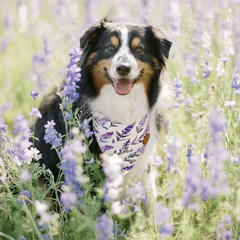 CROWNED BEAUTY Reversible Spring Dog Bandanas -Lavender Dreams Set- 2 Pack for Medium to XL Dogs DB116