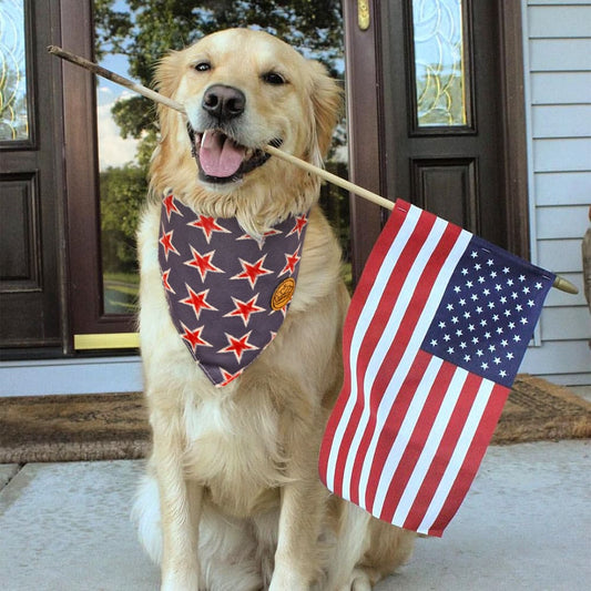 CROWNED BEAUTY Reversible 4th of July Patriotic Dog Bandanas -Floral Star Set- 2 Pack for Medium to XL Dogs DB117-L