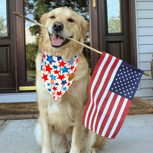 CROWNED BEAUTY Reversible 4th of July Patriotic Dog Bandanas -Star & Ice Cream Set- 2 Pack for Medium to XL Dogs DB119-L