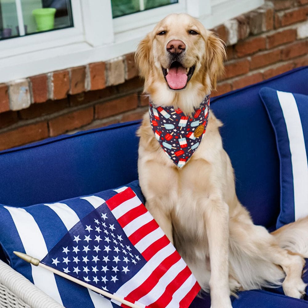 CROWNED BEAUTY Reversible 4th of July Patriotic Dog Bandanas -Star & Ice Cream Set- 2 Pack for Medium to XL Dogs DB119-L