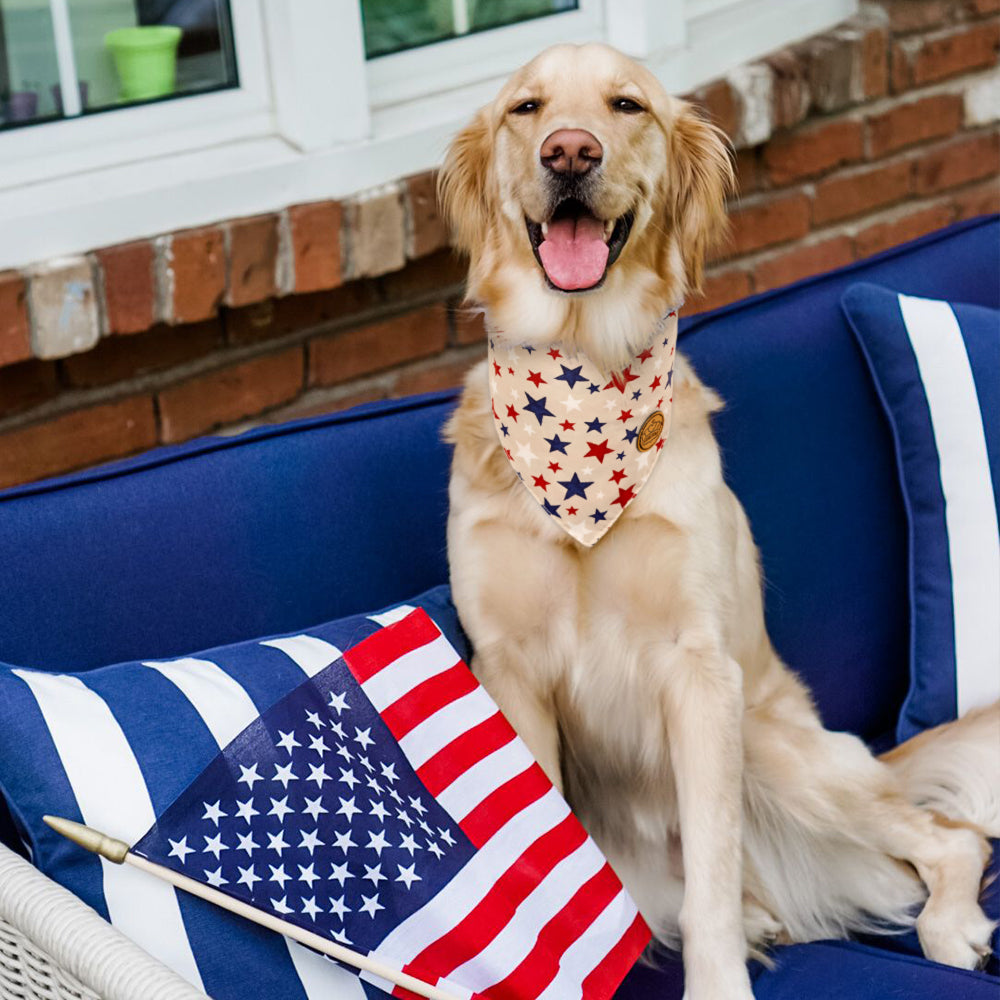 CROWNED BEAUTY Reversible 4th of July Patriotic Dog Bandanas -American Hearts Set- 2 Pack for Medium to XL Dogs DB120-L