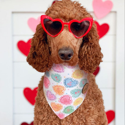 CROWNED BEAUTY Reversible Valentine's Day Dog Bandanas -Sweet Love Set- 2 Pack for Medium to XL Dogs DB147-L
