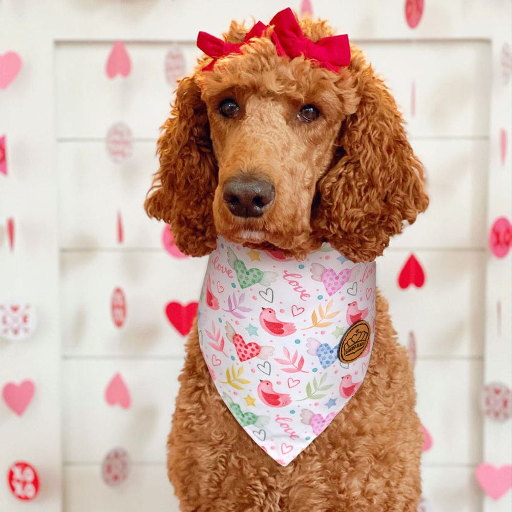 CROWNED BEAUTY Reversible Valentine's Day Dog Bandanas -Sweet Love Set- 2 Pack for Medium to XL Dogs DB147-L