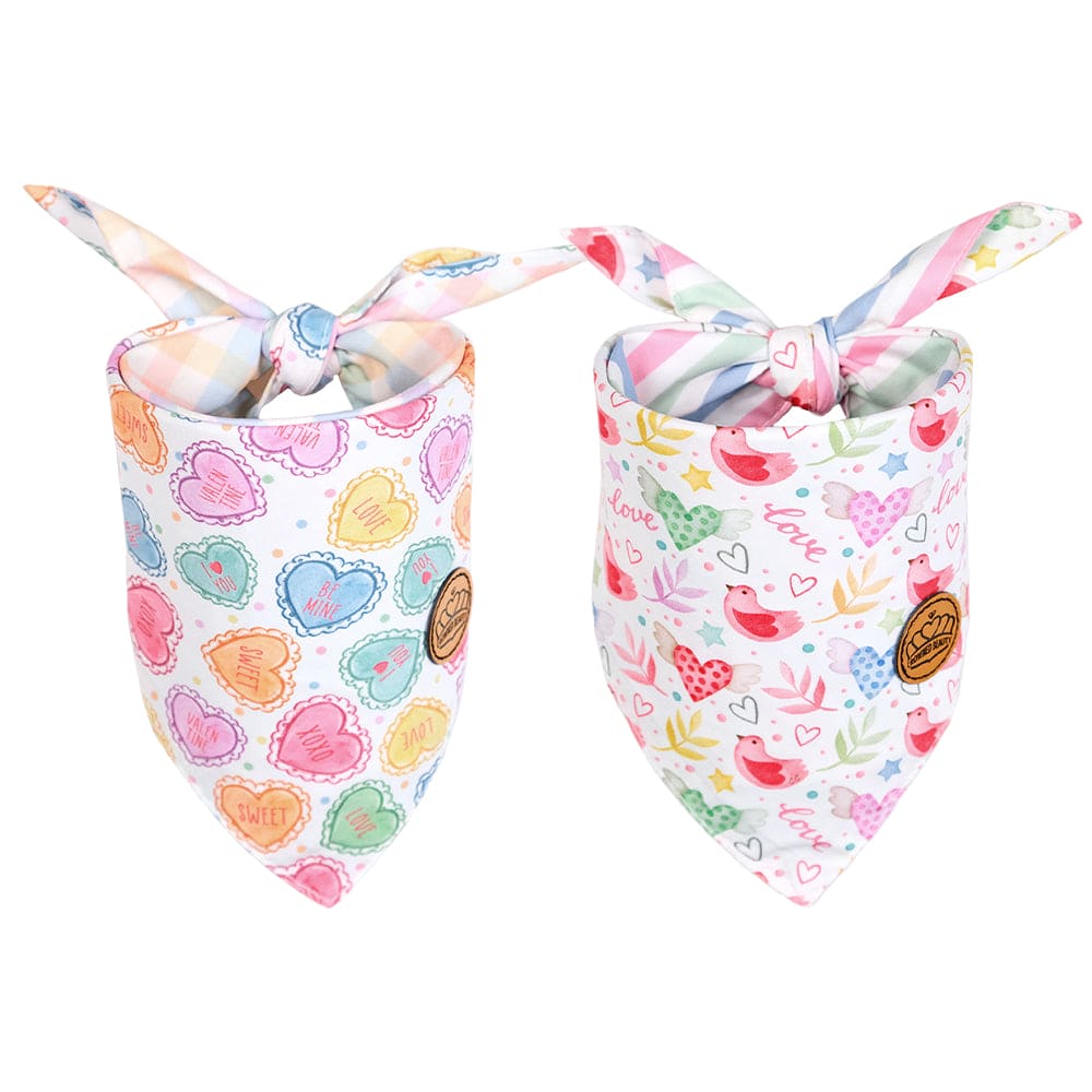 CROWNED BEAUTY Reversible Valentine's Day Dog Bandanas -Sweet Love Set- 2 Pack for Medium to XL Dogs DB147-L