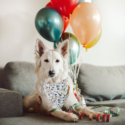 CROWNED BEAUTY Birthday Dog Bandanas Reversible Large 2 Pack, Birthday Candle Set DB49