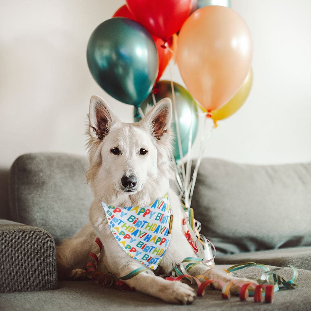 CROWNED BEAUTY Birthday Dog Bandanas Reversible Large 2 Pack, Happy Birthday Set DB50