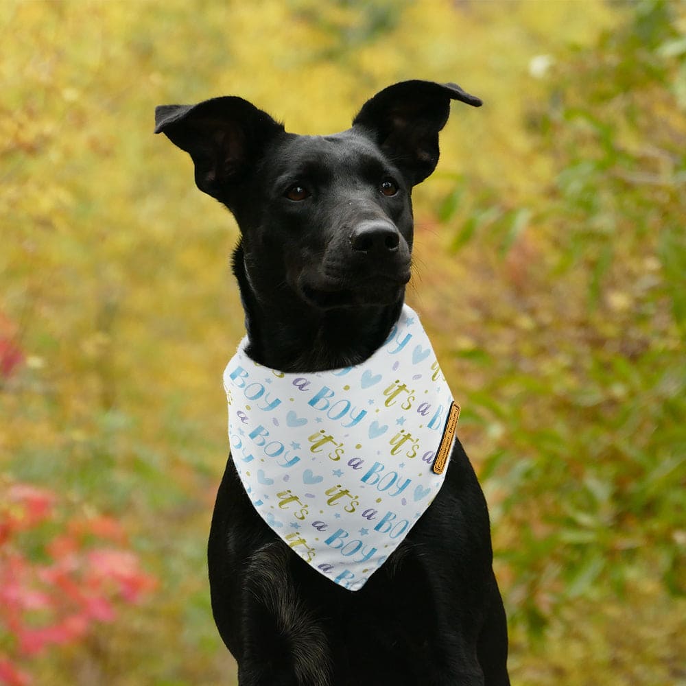 CROWNED BEAUTY Gender Reveal Dog Bandanas Reversible Large 2 Pack, It's a Boy DB51