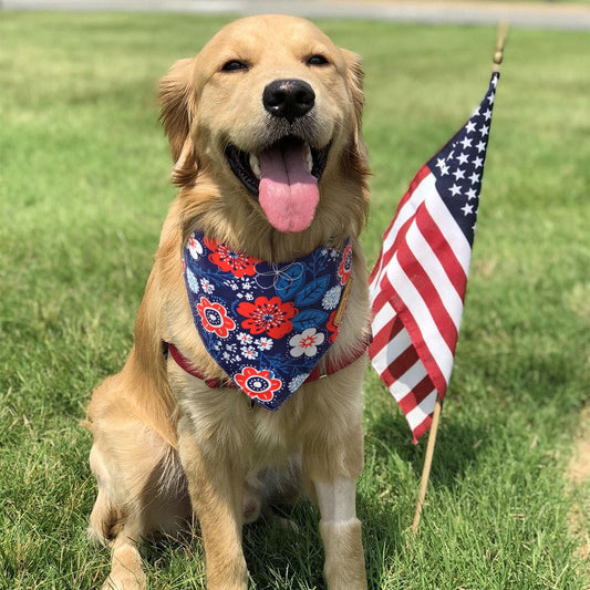 CROWNED BEAUTY 4th of July Patriotic Dog Bandanas Reversible Large 2 Pack, Floral Set DB53