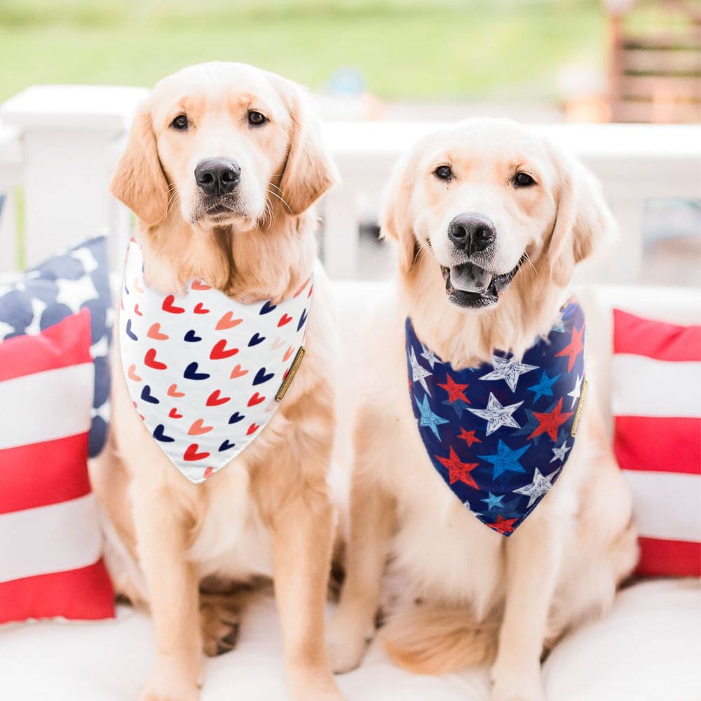 CROWNED BEAUTY 4th of July Patriotic Dog Bandanas Reversible Large 2 Pack, Heart Set DB59