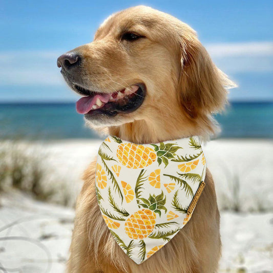 CROWNED BEAUTY Fruit Dog Bandanas Reversible Large 2 Pack, Pineapple Set DB62