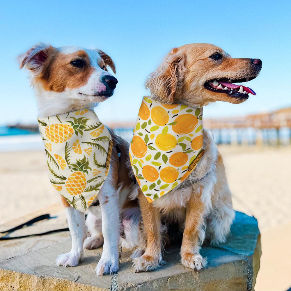 CROWNED BEAUTY Fruit Dog Bandanas Reversible Large 2 Pack, Pineapple Set DB62