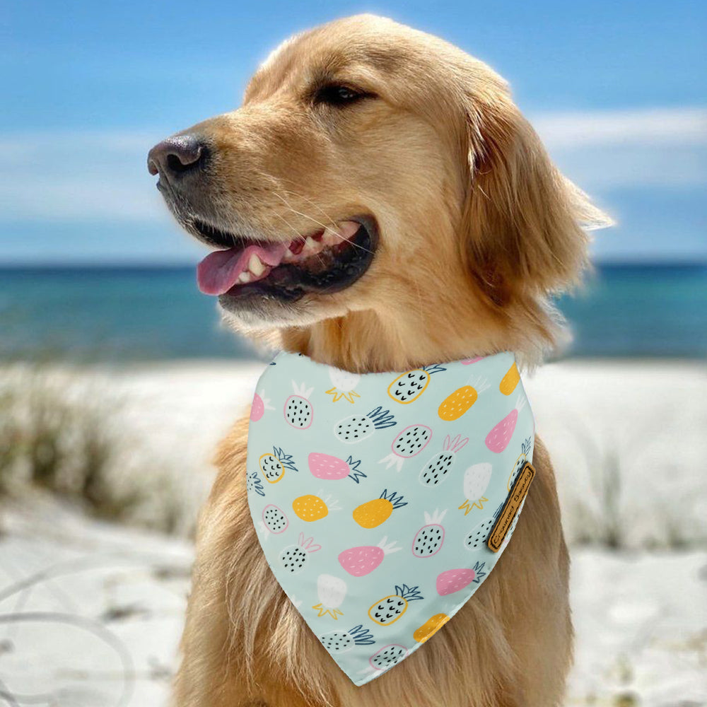 CROWNED BEAUTY Fruit Dog Bandanas Reversible Grande 2 Pack, Banana Set, DB63-L
