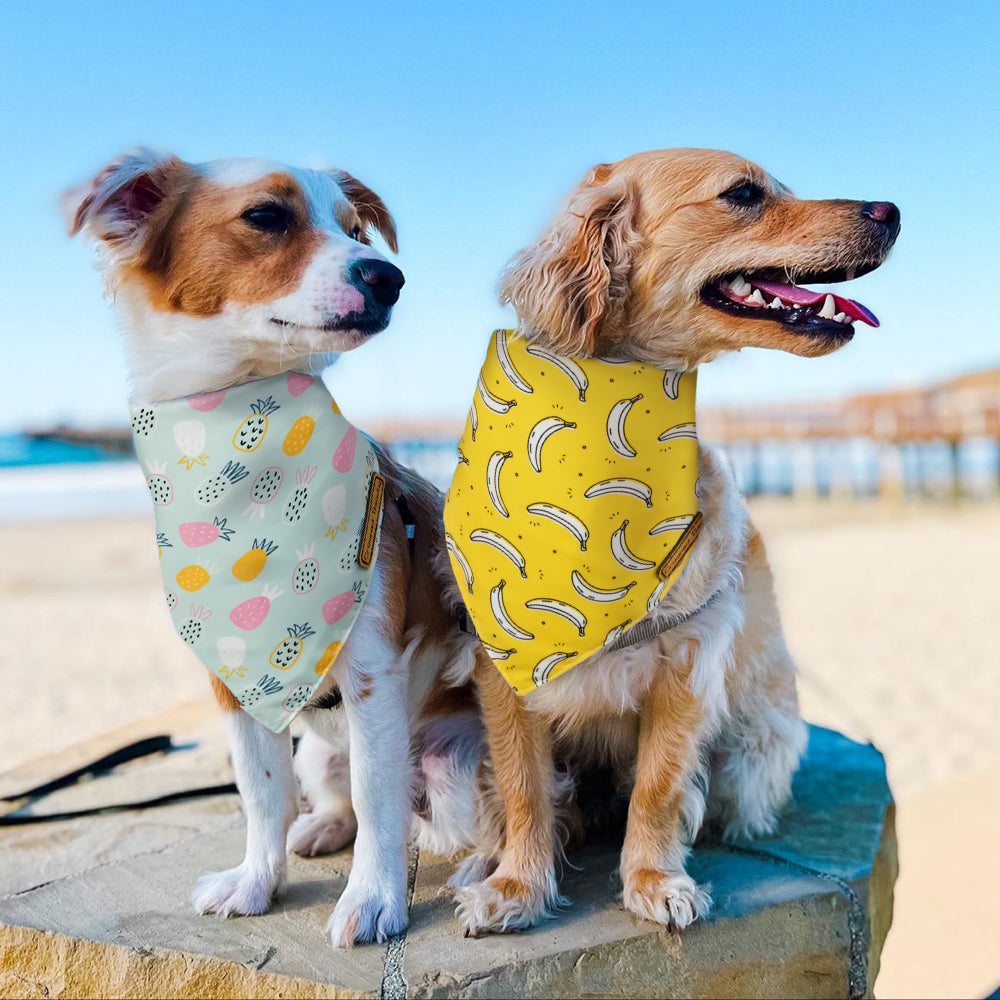 CROWNED BEAUTY Fruit Dog Bandanas Reversible Grande 2 Pack, Banana Set, DB63-L