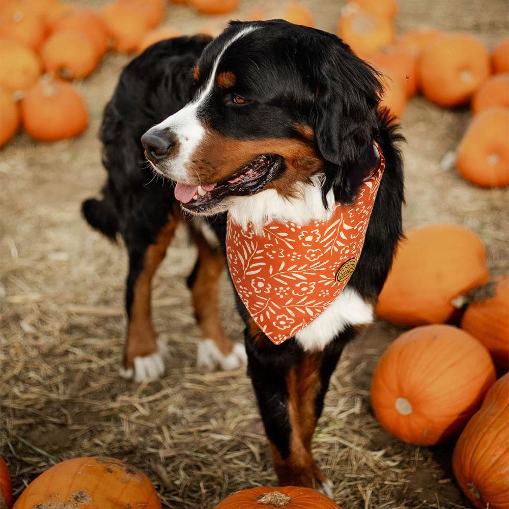 CROWNED BEAUTY Reversible Fall Dog Bandanas - Flower Set-2 Pack for Medium to XL Dogs DB75