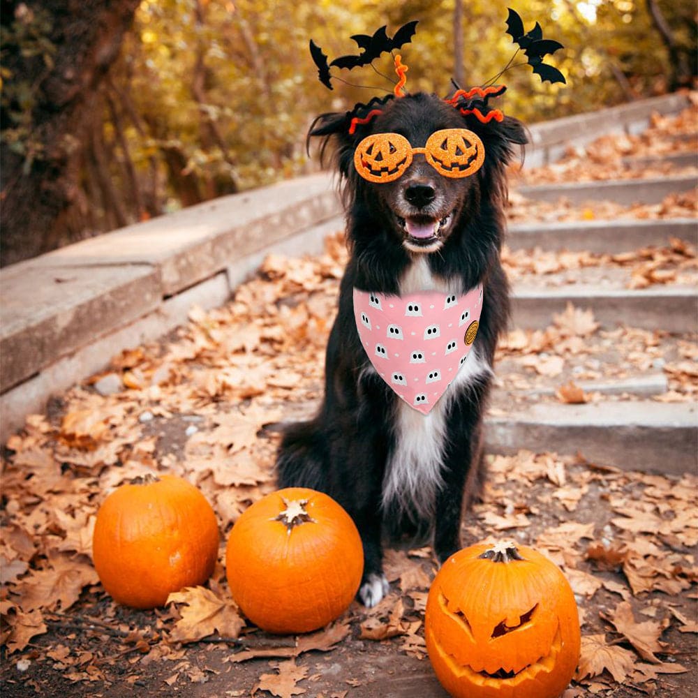 CROWNED BEAUTY Reversible Halloween Dog Bandanas - Ghost Bat Set-2 Pack for Medium to XL Dogs DB76