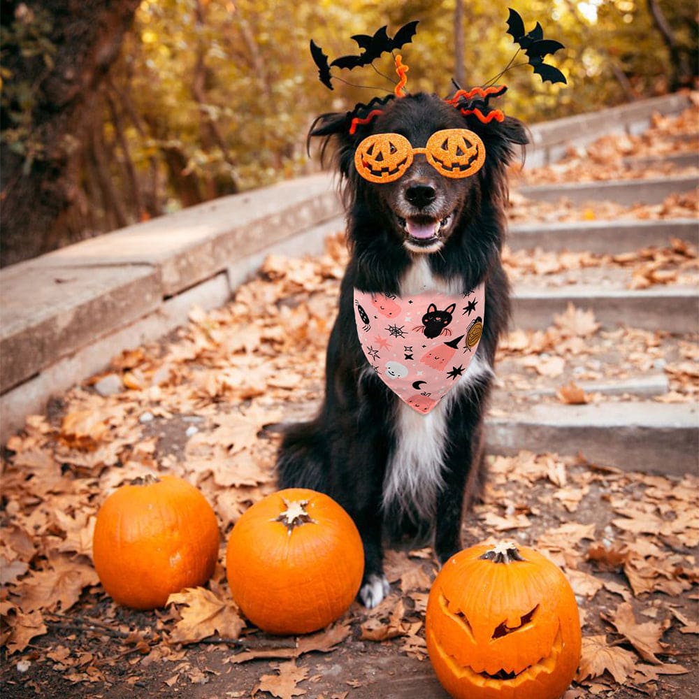 CROWNED BEAUTY Reversible Halloween Dog Bandanas - Pink Ghost Set-2 Pack for Medium to XL Dogs DB78