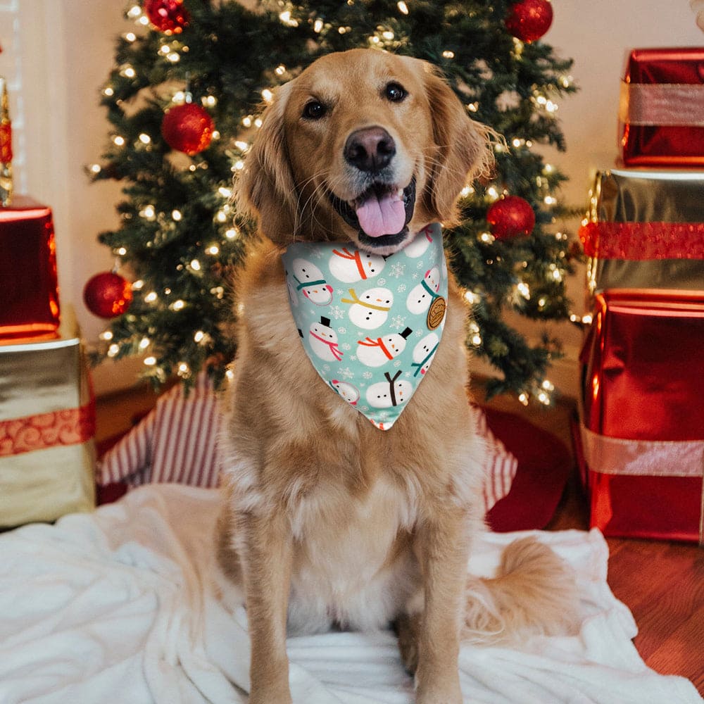 CROWNED BEAUTY Reversible Christmas Dog Bandanas - Frosty Pines Set-2 Pack for Medium to XL Dogs DB79