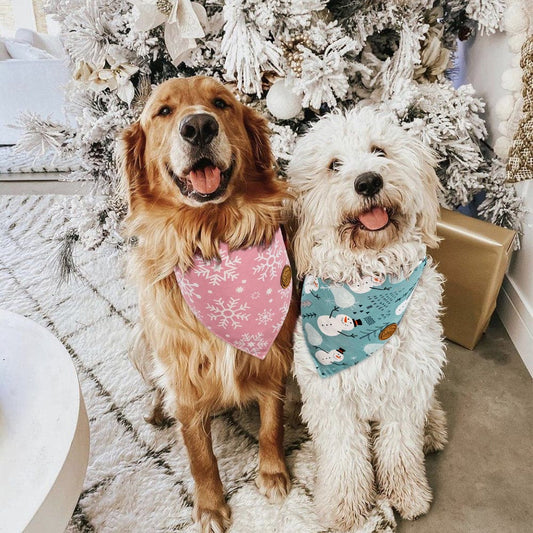CROWNED BEAUTY Reversible Christmas Dog Bandanas - Winter Whimsy Set-2 Pack for Medium to XL Dogs DB80