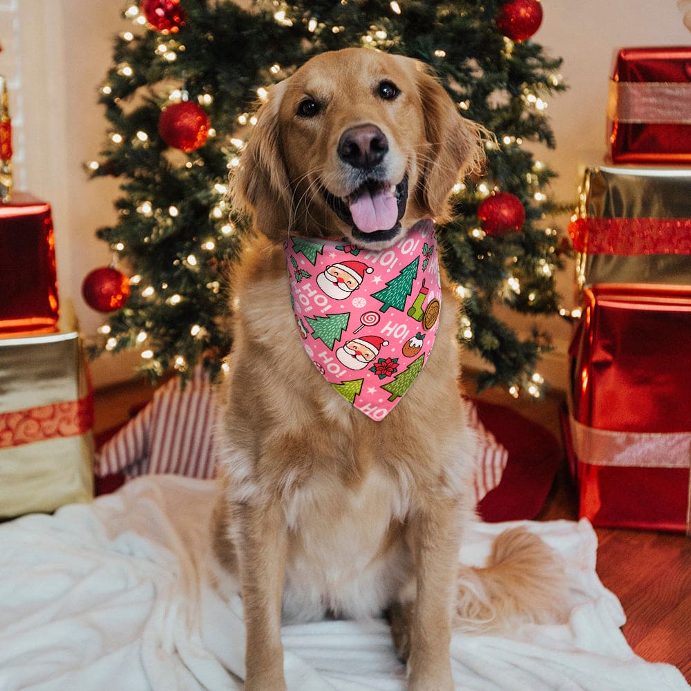 CROWNED BEAUTY Reversible Christmas Dog Bandanas - HO HO HO Set-2 Pack for Medium to XL Dogs DB81