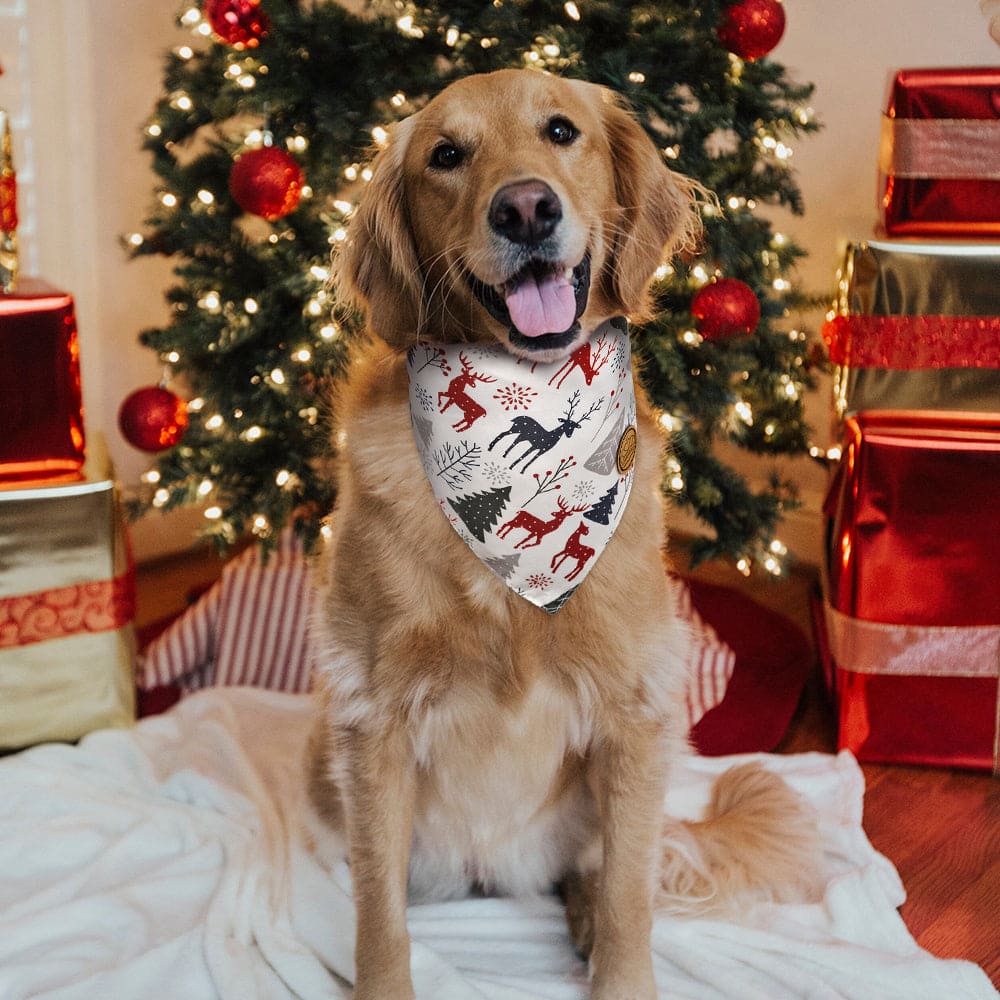 CROWNED BEAUTY Reversible Christmas Dog Bandanas - Forest Reindeer Set-2 Pack for Medium to XL Dogs DB85