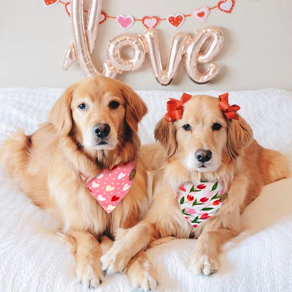 CROWNED BEAUTY Reversible Valentines Day Dog Bandanas -Floral Heart Set- 2 Pack for Medium to XL Dogs DB87