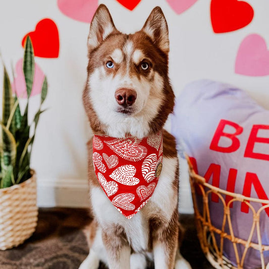 CROWNED BEAUTY Reversible Valentines Day Dog Bandanas -Red Heart Set- 2 Pack for Medium to XL Dogs DB88