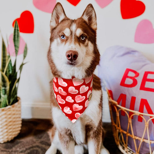 CROWNED BEAUTY Reversible Valentines Day Dog Bandanas -Love You Set- 2 Pack for Medium to XL Dogs DB89