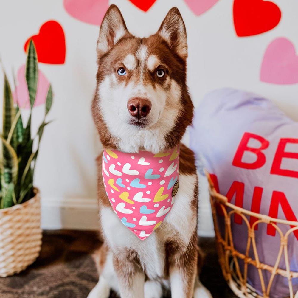 CROWNED BEAUTY Reversible Valentines Day Dog Bandanas -Love Heart Set- 2 Pack for Medium to XL Dogs DB90