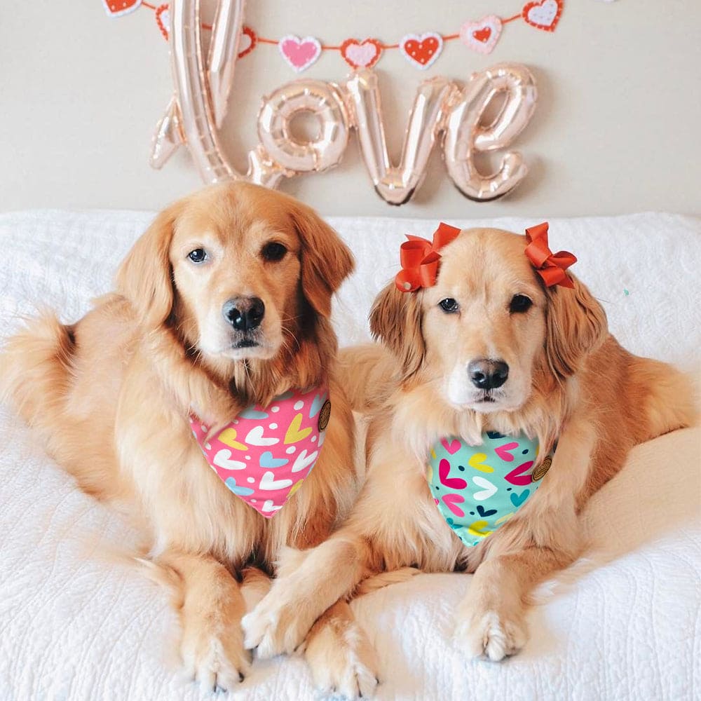 CROWNED BEAUTY Reversible Valentines Day Dog Bandanas -Love Heart Set- 2 Pack for Medium to XL Dogs DB90