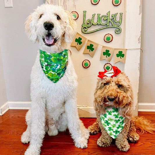 CROWNED BEAUTY Reversible St Patricks Day Dog Bandanas -Green Grace Set- 2 Pack for Medium to XL Dogs DB93-L